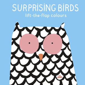 Cover art for Surprising Birds