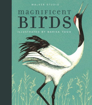 Cover art for Magnificent Birds