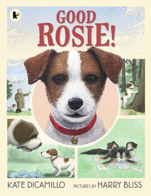 Cover art for Good Rosie!