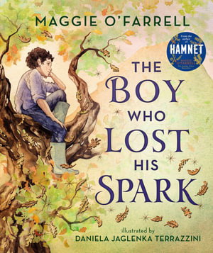 Cover art for Boy Who Lost His Spark