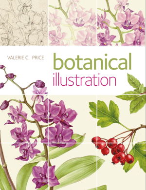 Cover art for Botanical Illustration