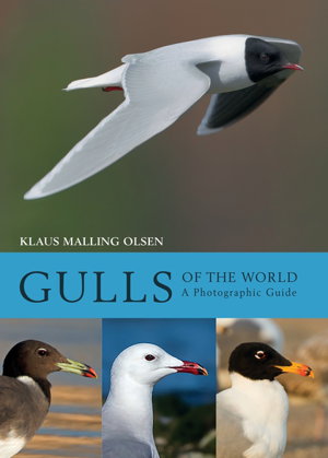Cover art for Gulls of the World