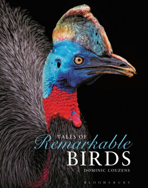 Cover art for Tales of Remarkable Birds