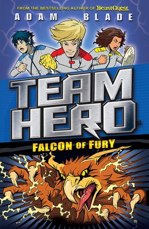 Cover art for Team Hero
