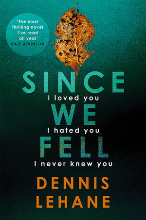 Cover art for Since We Fell