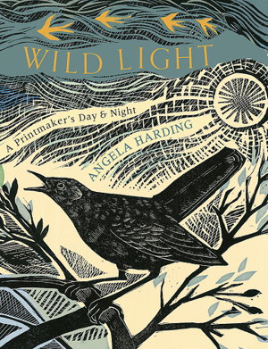 Cover art for Wild Light