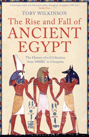 Cover art for The Rise and Fall of Ancient Egypt