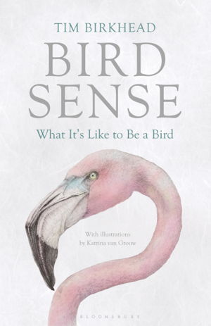 Cover art for Bird Sense