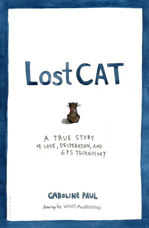 Cover art for Lost Cat