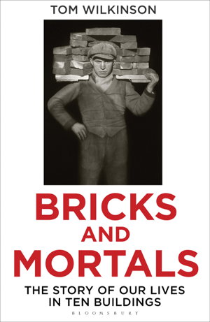 Cover art for Bricks and Mortals