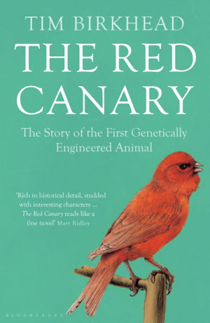 Cover art for Red Canary
