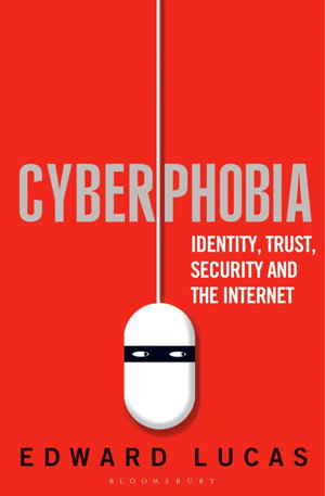 Cover art for Cyberphobia Identity Trust Security and the Internet