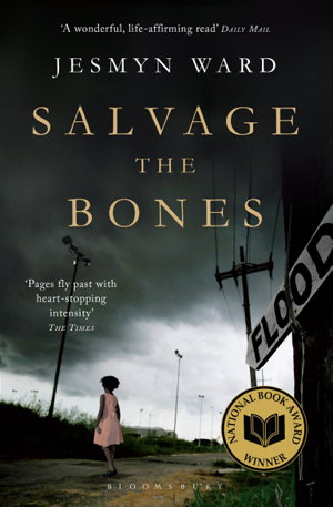 Cover art for Salvage the Bones