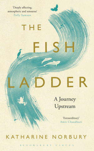 Cover art for Fish Ladder