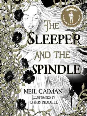 Cover art for The Sleeper and the Spindle
