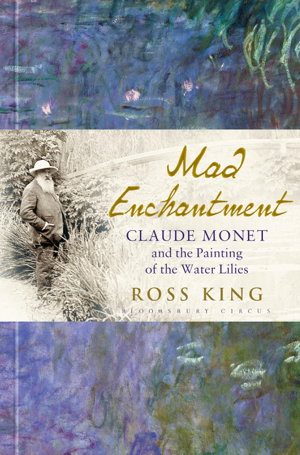 Cover art for Mad Enchantment
