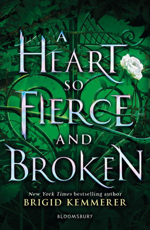Cover art for A Heart So Fierce and Broken