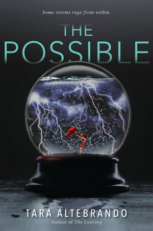 Cover art for Possible