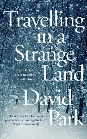 Cover art for Travelling in a Strange Land