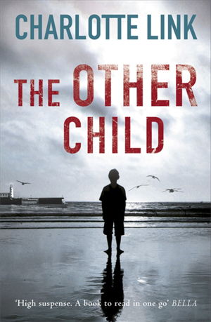 Cover art for The Other Child