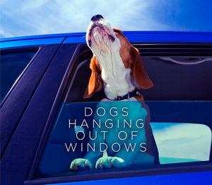 Cover art for Dogs Hanging Out Of Windows