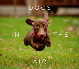 Cover art for Dogs in the Air