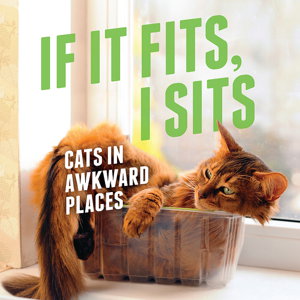 Cover art for If It Fits, I Sits