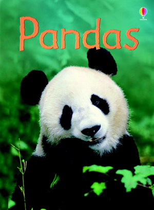 Cover art for Pandas