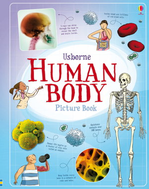 Cover art for Human Body Picture Book