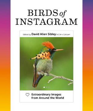 Cover art for Birds of Instagram