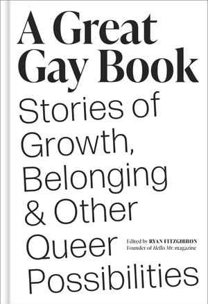 Cover art for A Great Gay Book