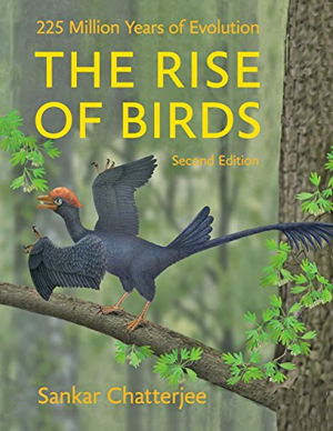 Cover art for The Rise of Birds