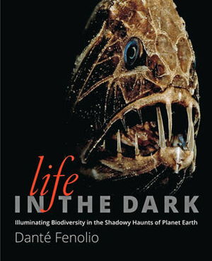 Cover art for Life in the Dark
