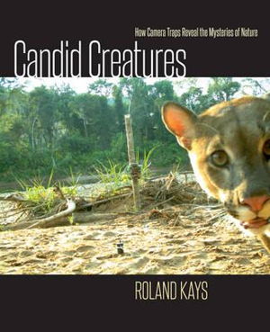 Cover art for Candid Creatures