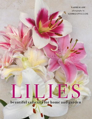 Cover art for Lilies