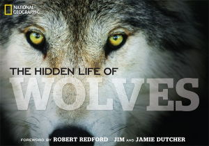 Cover art for The Hidden Life of Wolves