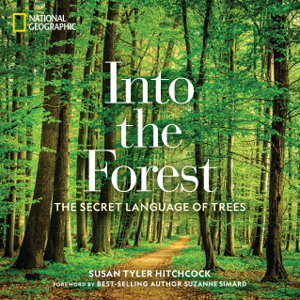 Cover art for Into the Forest