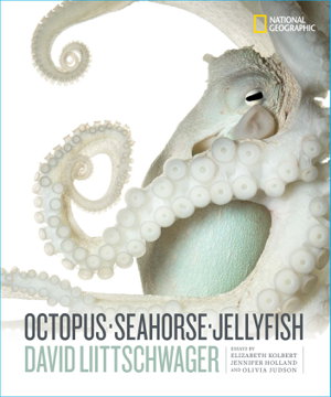 Cover art for Octopus, Seahorse, Jellyfish