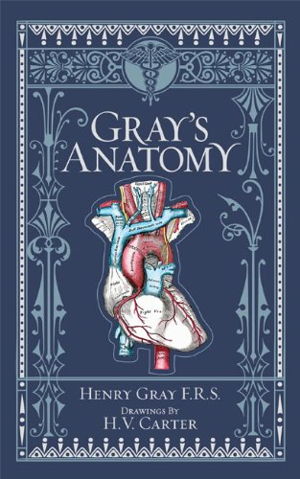 Cover art for Gray's Anatomy (Barnes & Noble Collectible Classics: Omnibus Edition)