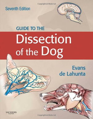 Cover art for Guide to the Dissection of the Dog