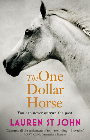 Cover art for The One Dollar Horse