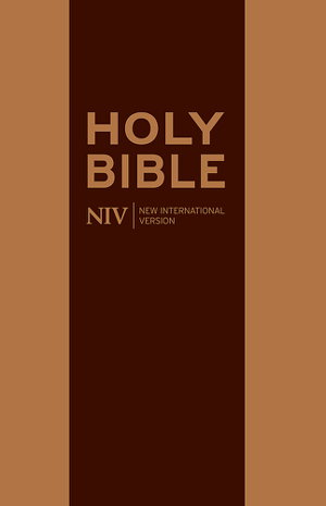 Cover art for NIV Thinline Cloth Bible (1)