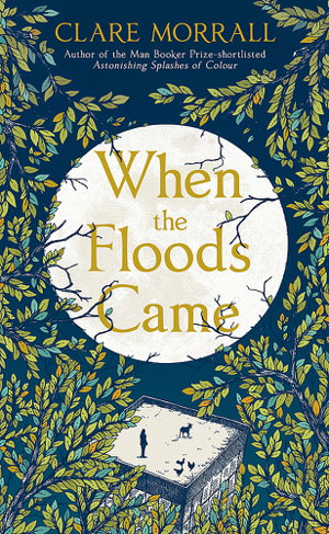 Cover art for When the Floods Came