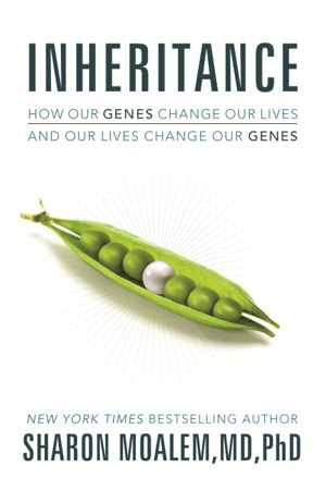 Cover art for Inheritance How Our Genes Change Our Lives and Our Lives Change Our Genes