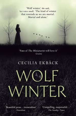 Cover art for Wolf Winter