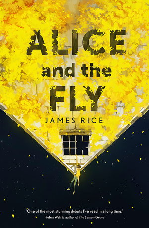 Cover art for Alice and the Fly