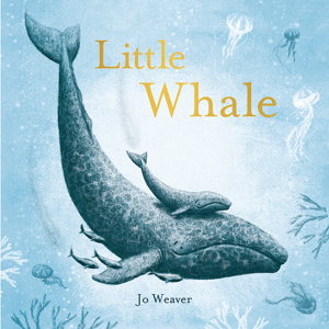 Cover art for Little Whale