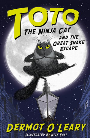 Cover art for Toto the Ninja Cat and the Great Snake Escape