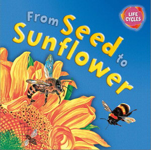Cover art for Lifecycles From Seed to Sunflower