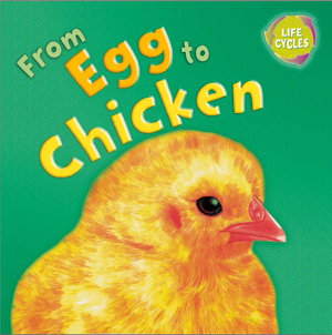 Cover art for Lifecycle From Egg to Chicken